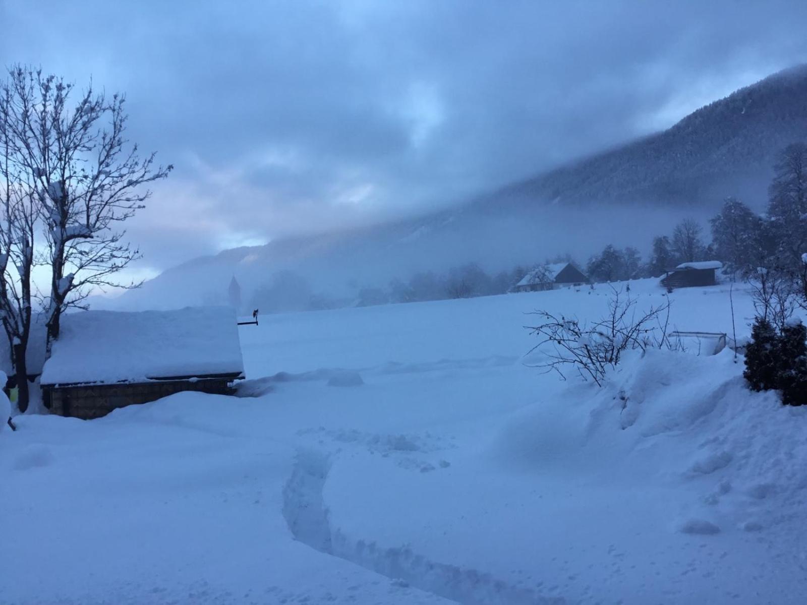 Apartments Koblar Kranjska Gora Bilik gambar
